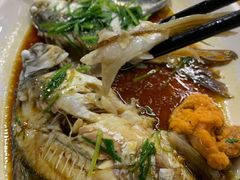 西江剧鲫-八仔大富楼·河鲜(西江店)