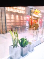 -INSTYLE造型·明星店