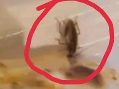 -Cactus墨西哥仙人掌餐厅