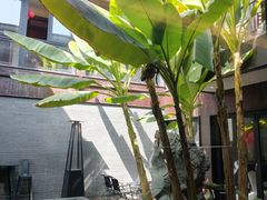 -冯家花园(绮园景区店)