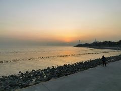 -深圳湾公园(南山区)
