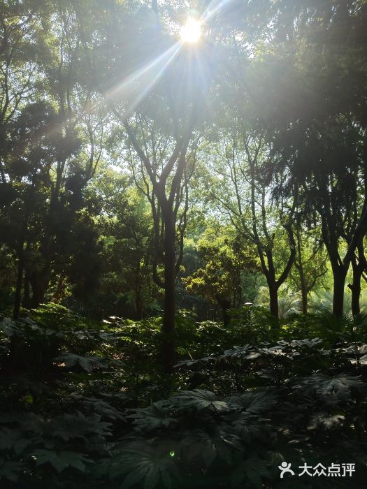 苏州河梦清园环保主题公园图片