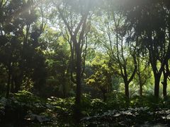 -苏州河梦清园环保主题公园