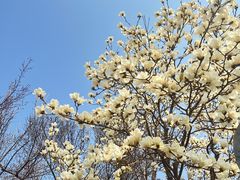 -梅兰芳纪念馆