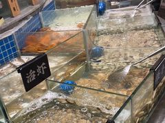 -汉阳廷自助烤肉·火锅(万丰海岸城店)