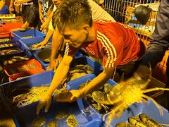 -仙本那小型鱼市