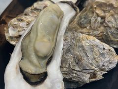 桑拿蠔-天宝食坊·啫啫煲大排档(西华路店)