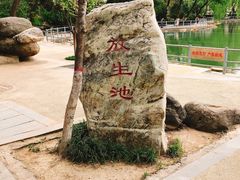 -莲湖公园