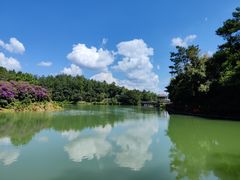 -广州白江湖森林公园