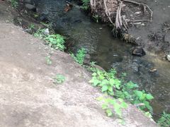 -白水寺森林公园