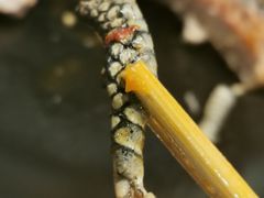 -湘里乡亲甲王二老店