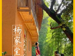 -杨家堂村