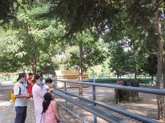 -长白岛森林公园