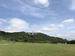 -羊山湖公园