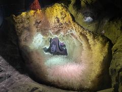 -湖南省地质博物馆