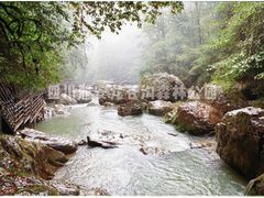 -龙苍沟森林公园