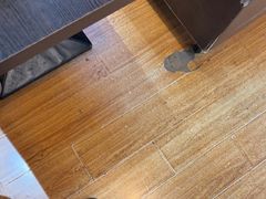 -伯爵·沉浸式超级密室·直营店