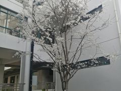 -蜀南面馆(莘沥路)