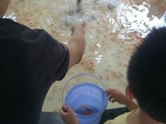 -杭州少年儿童公园