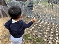 -合肥滨湖国家森林公园