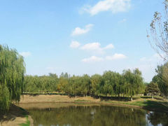 -莫子山公园