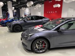 -TESLA 特斯拉(深圳观澜特斯拉直营钣喷中心)