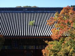 -香山公园