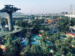 -苏州乐园森林水世界