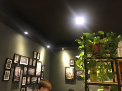 -藤野造型