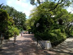 -九龙公园