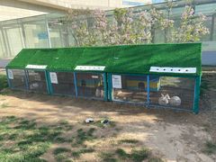 -廊坊固安福朋喜来登酒店