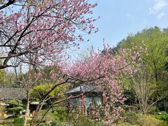 -龙井草堂