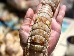 -蚝堡·生蚝海鲜烧烤物种起源•海肠捞饭(刘公岛店)