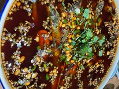 黄辣丁-青城甲(青城山店)