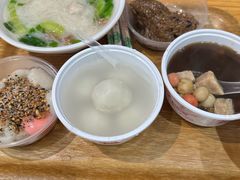 -海丝金凤(金鱼店)