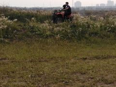 -上海都市菜园