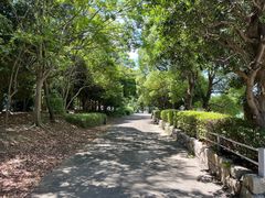 -台场海滨公园船码头
