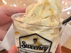 谷物冰淇淋-Sweeney冰淇淋