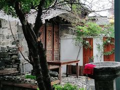 -喵屿·大理花园猫咖