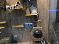-米卢宠物公园(广华居店)