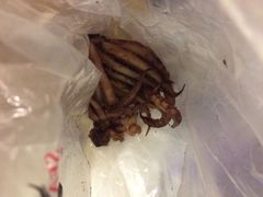 iphone_upload_pic-水一方现烤鱿鱼丝大连特产(三八广场店)