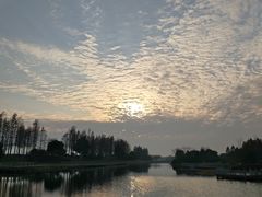 -贡湖湾湿地公园