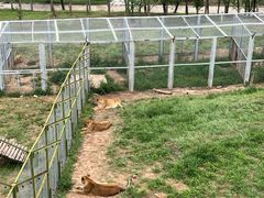 -青藏高原野生动物园