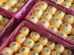 -东方鼎信农副产品交易中心