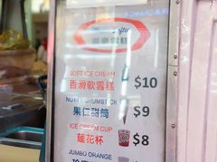 -富豪雪糕车流动点(尖沙咀店)