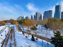 -长白岛森林公园