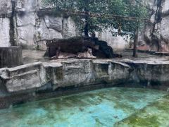 -灵玲国际马戏城