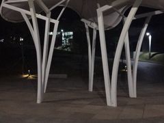 -白石龙音乐公园
