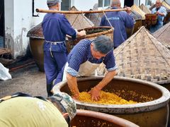 -苏州市吴中区光福窑上花果蜜饯厂