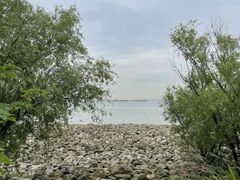 -上海吴淞炮台湾国家湿地公园
